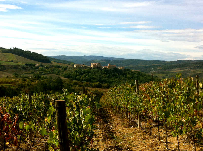 Gite in the vineyards of Langedoc