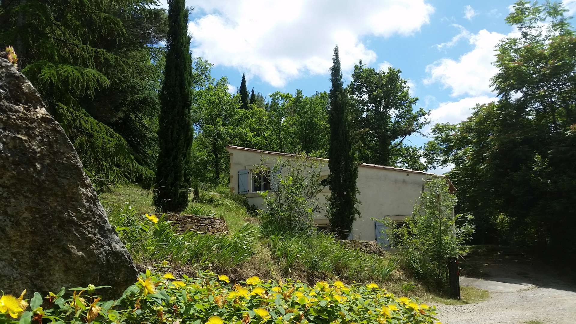 Modern Family Holiday